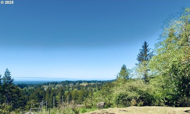 view of nature with a forest view