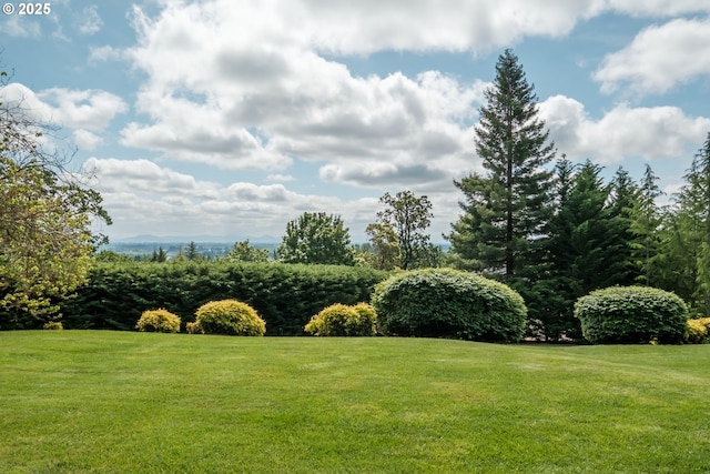 6600 NW Burgundy Dr, Corvallis, OR 97330 - view of green lawn