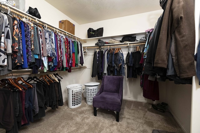 6783 Rogue River Dr, Shady Cove, OR 97539 - spacious closet featuring carpet floors