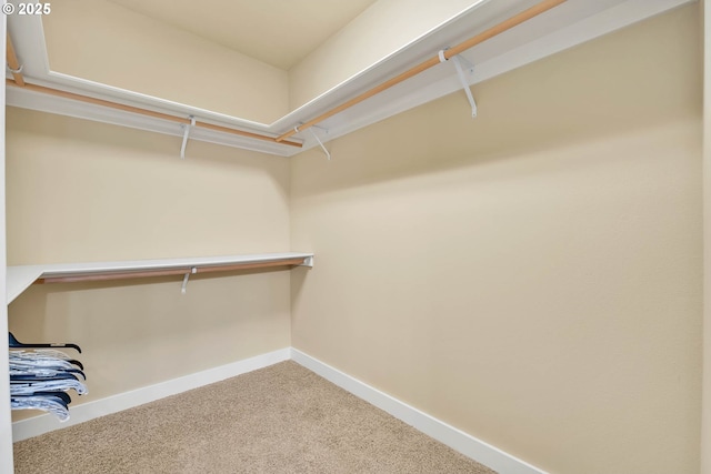 walk in closet with carpet flooring