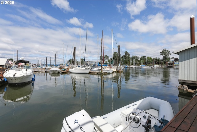 dock area with a water view