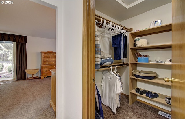 spacious closet featuring carpet floors and visible vents