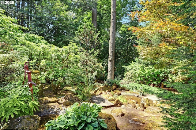 128 Del Prado St, Lake Oswego, OR 97035 - view of tree filled area