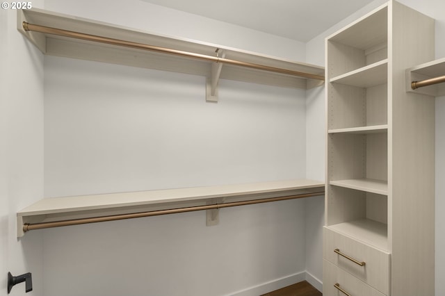 590 Waterfront Way Unit 500, Vancouver, WA 98660 - view of walk in closet