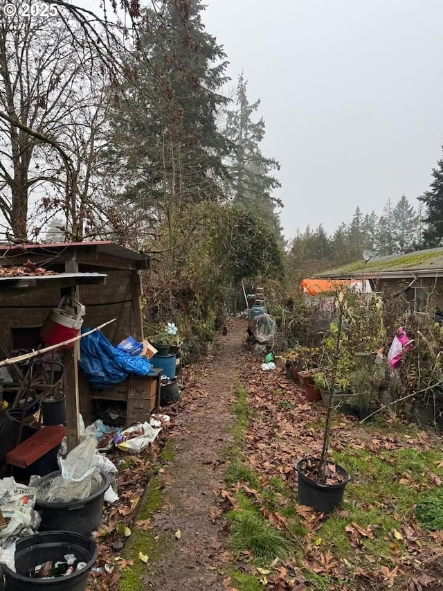 12192 S Mulino Rd, Canby, OR 97013 - view of yard