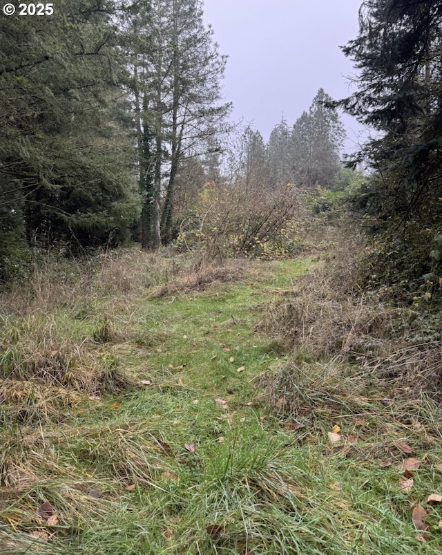 12192 S Mulino Rd, Canby, OR 97013 - view of nature