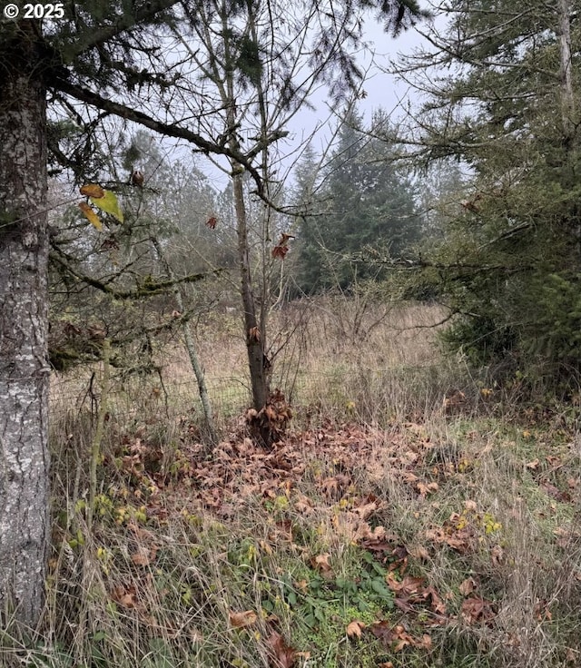 12192 S Mulino Rd, Canby, OR 97013 - view of wooded area