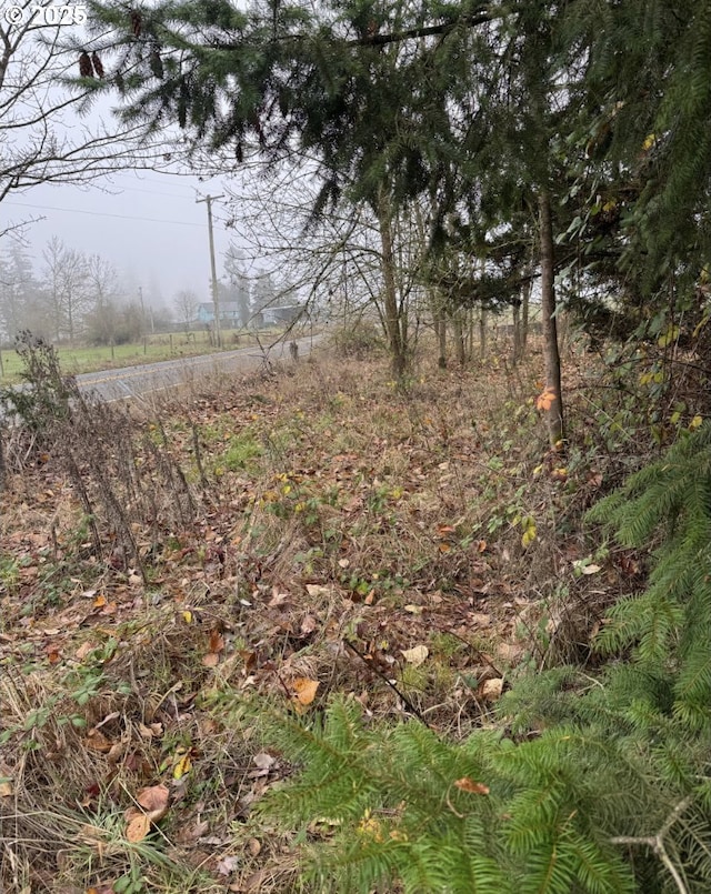 12192 S Mulino Rd, Canby, OR 97013 - view of local wilderness