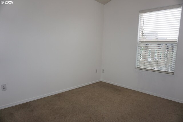unfurnished room with baseboards, carpet, and a healthy amount of sunlight