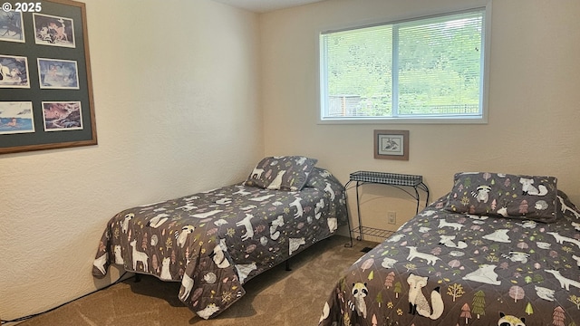 1159 Fir Acres Dr, Eugene, OR 97401 - view of carpeted bedroom