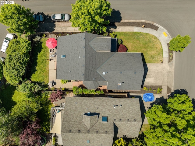 bird's eye view