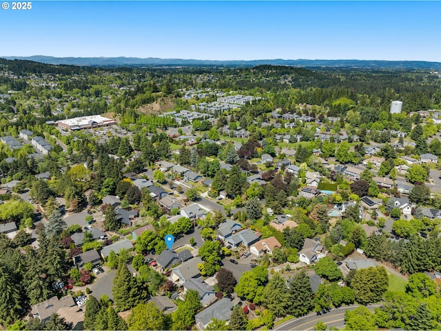 drone / aerial view of a forest