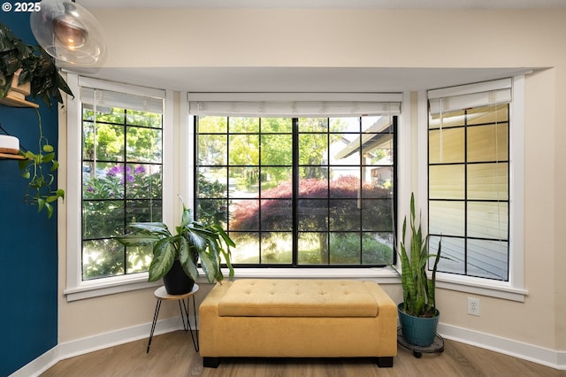 living area with baseboards, plenty of natural light, and wood finished floors