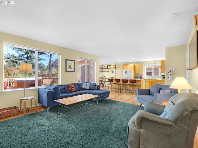 living area with recessed lighting and wood finished floors