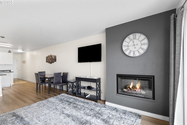 304 14th St NW Unit 304, Long Beach, WA 98631 - living room with light wood-type flooring, a glass covered fireplace, and baseboards