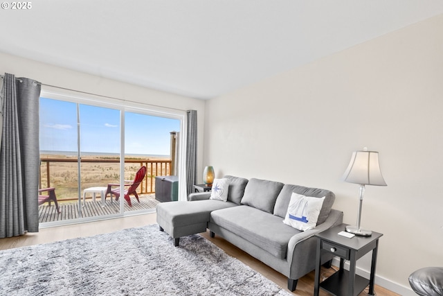 304 14th St NW Unit 304, Long Beach, WA 98631 - living room featuring wood finished floors