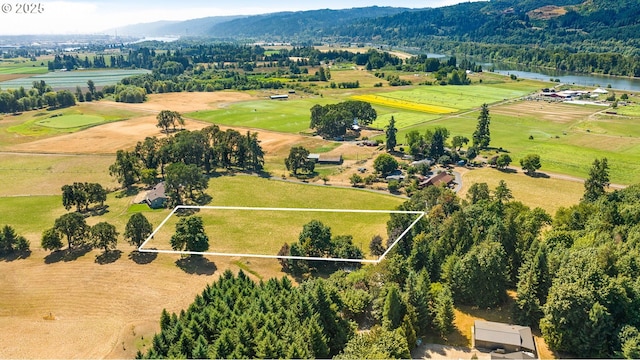 birds eye view of property with a water view and a rural view