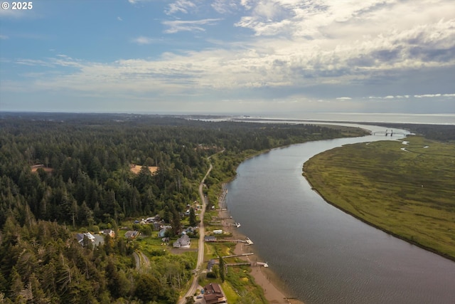 57569 Parkersburg Rd, Bandon, OR 97411 - view of property location featuring a heavily wooded area and a large body of water