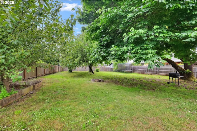 2280 Dakota St, Eugene, OR 97402 - view of yard with a trampoline