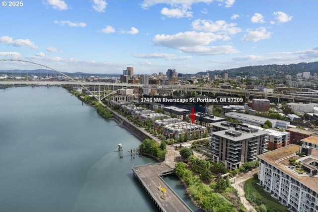 1746 NW Riverscape St, Portland, OR 97209 - view of urban area featuring a notable bridge and a large body of water