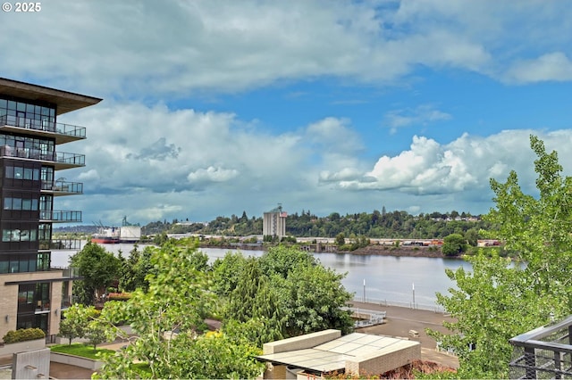 1746 NW Riverscape St, Portland, OR 97209 - water view