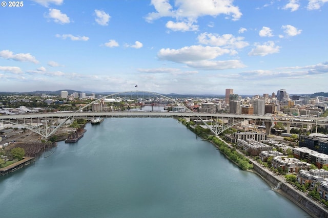 1746 NW Riverscape St, Portland, OR 97209 - view of urban area featuring a notable bridge and a nearby body of water