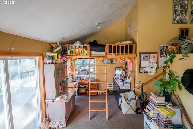 interior space featuring lofted ceiling, a textured ceiling, and carpet flooring