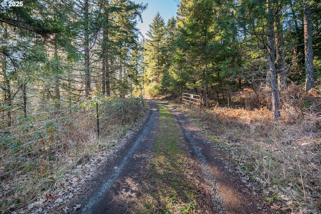 view of road