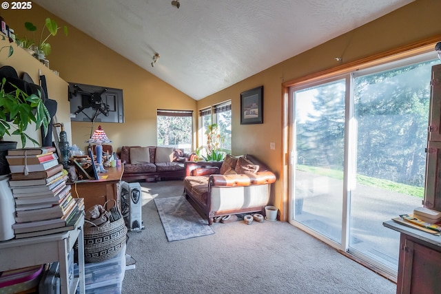 living room featuring lofted ceiling, a textured ceiling, and carpet