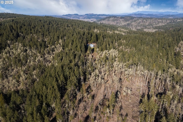 aerial view with a mountain view