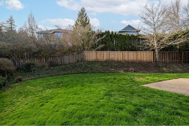 view of yard with a fenced backyard and a patio