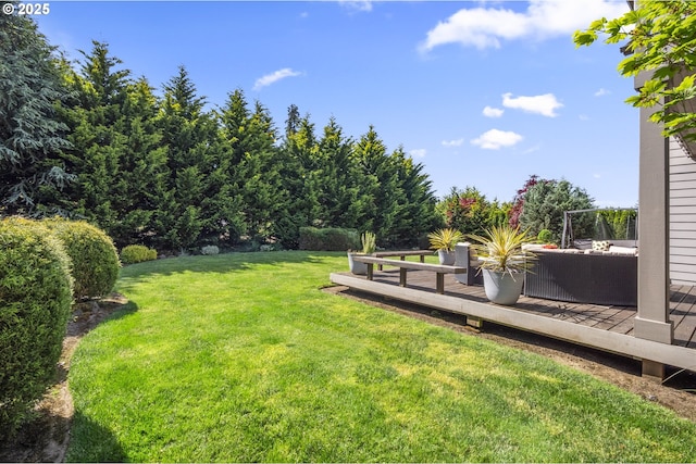 view of grassy yard