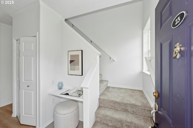 stairway with crown molding and hardwood / wood-style flooring