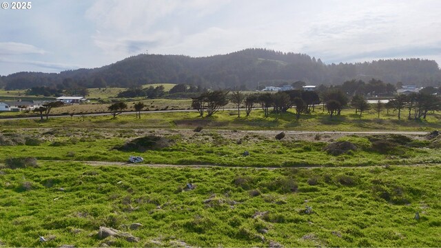 Old Coast Rd, Gold Beach, OR 97444