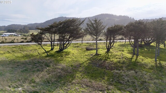 Old Coast Rd, Gold Beach, OR 97444