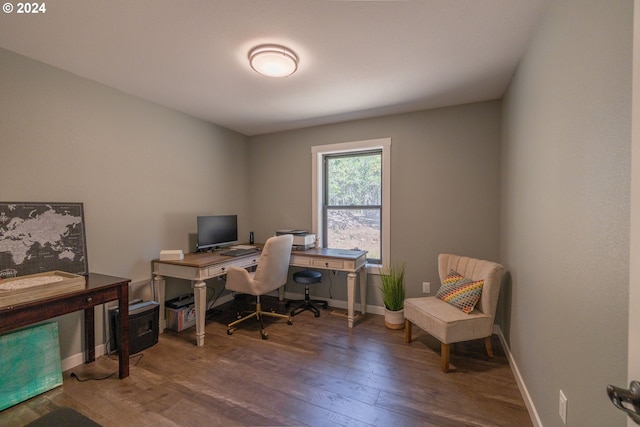 office with baseboards and wood finished floors