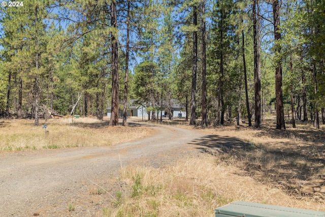 view of road featuring dirt driveway