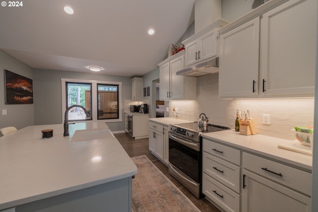 kitchen featuring decorative backsplash, electric stove, light countertops, under cabinet range hood, and a sink