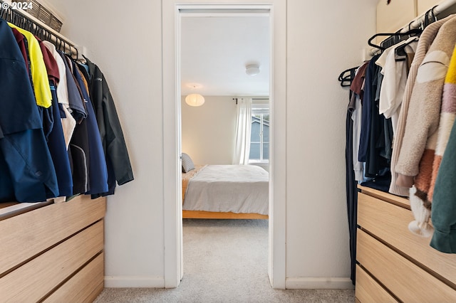 walk in closet with light colored carpet