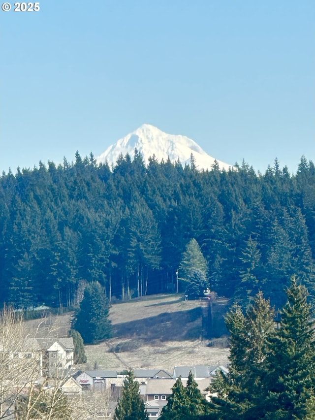 12972 SE 156th Ave, Happy Valley, OR 97086 - view of mountain background with a forest