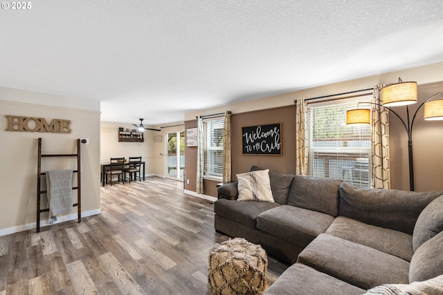 816 SW Chablis Ct, Dundee, OR 97115 - living area featuring healthy amount of natural light, wood finished floors, ceiling fan, and a textured ceiling