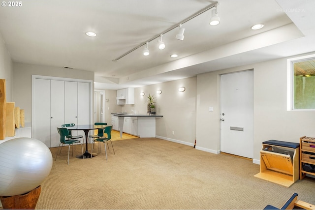interior space with light colored carpet, baseboards, rail lighting, and recessed lighting