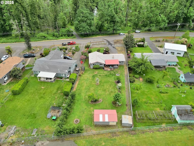 bird's eye view of a forest