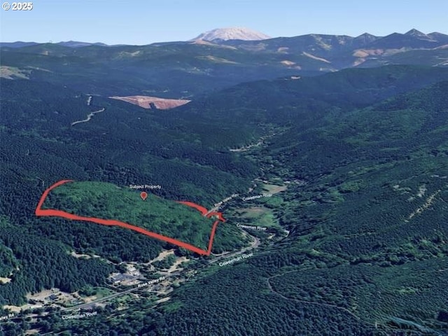 8885 Rose Valley Rd, Kelso, WA 98626