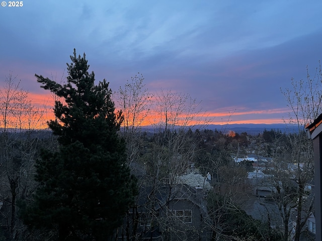 view of nature at dusk