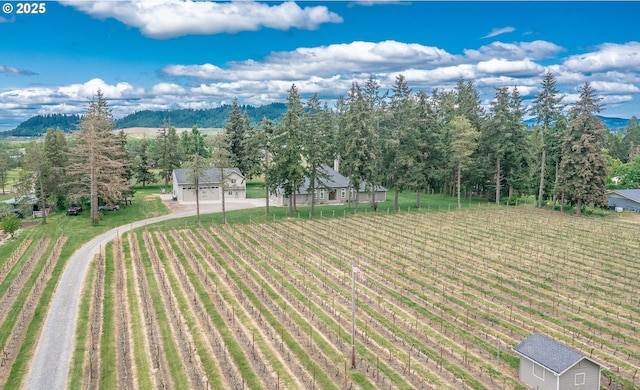 34103 Adler Ln, Creswell, OR 97426 - bird's eye view