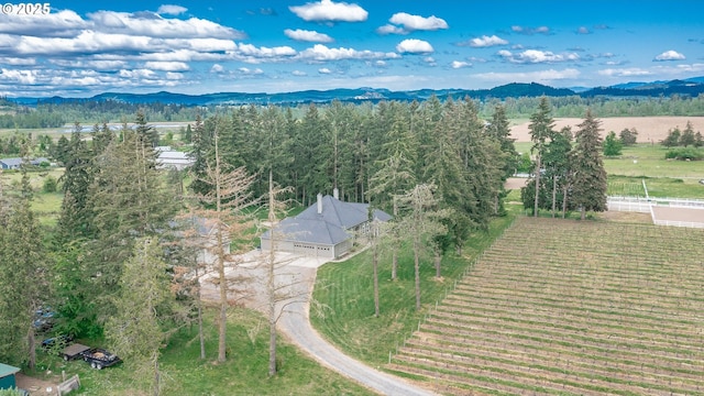34103 Adler Ln, Creswell, OR 97426 - view of rural area featuring a mountain backdrop