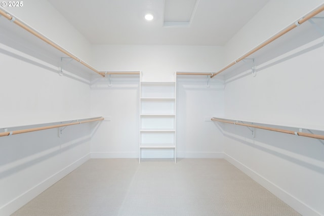 view of spacious closet