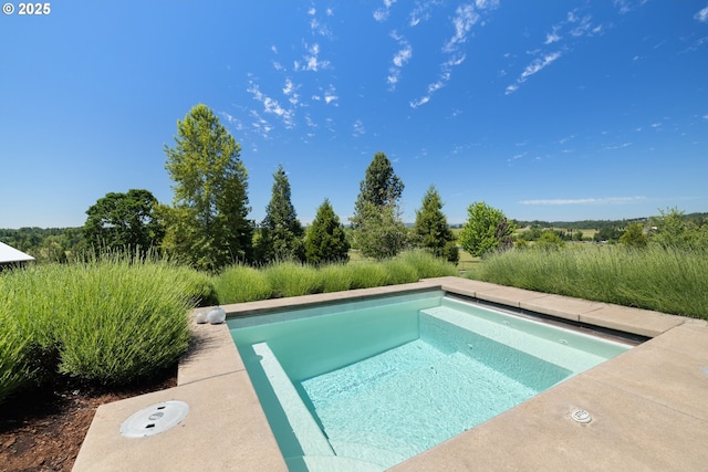 26817 SW Cade Ln, West Linn, OR 97068 - view of pool