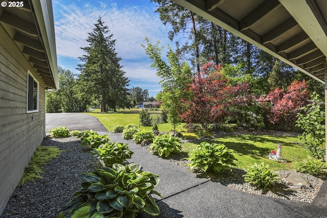 view of yard with a patio